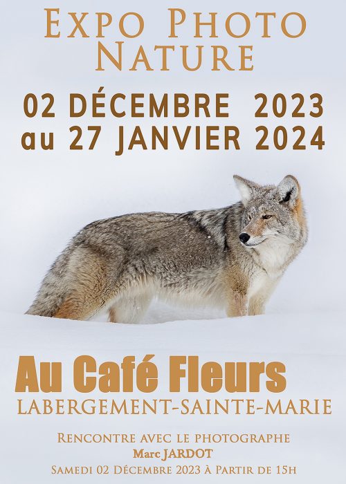 FACEBOOK_Affiche_Café_Fleur_2024