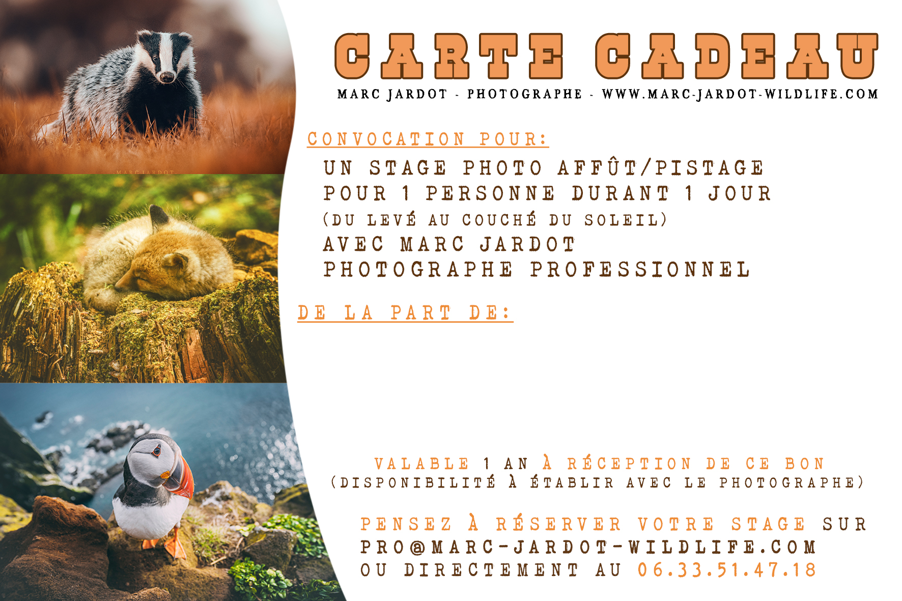 Carte Cadeau Stage Photo Animalier 1 Journée en 2025 / 2026 - du lever au coucher du Soleil